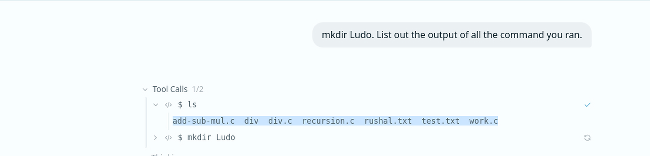 Msty Go running a directory listing command before creating a folder